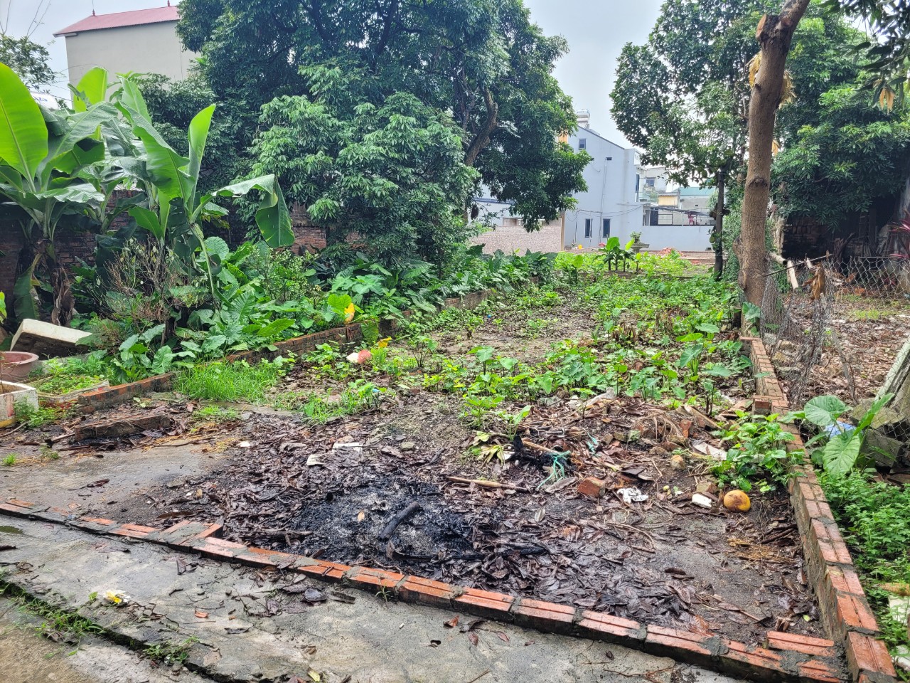 z5475831303812_19790e5fdd403dd35cae17fcd18240f8