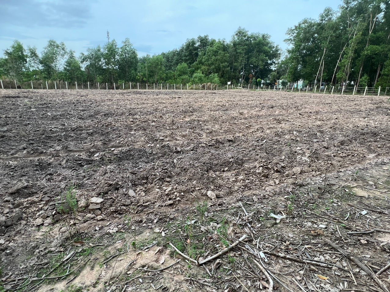 z5478929685107_26f3ea7ebdb278fa97c477a1c0c0a957