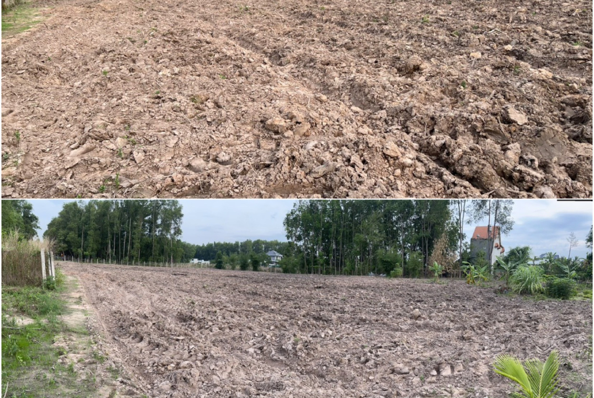 z5478929903372_761d3cb47b566322d39973856c8bf11d