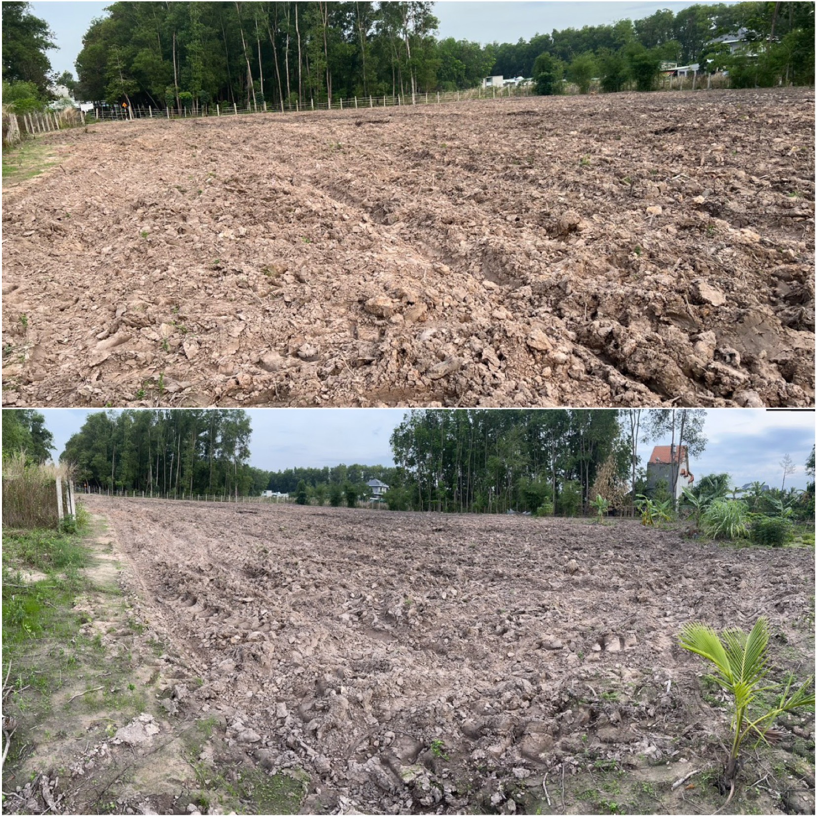 z5478929903372_761d3cb47b566322d39973856c8bf11d