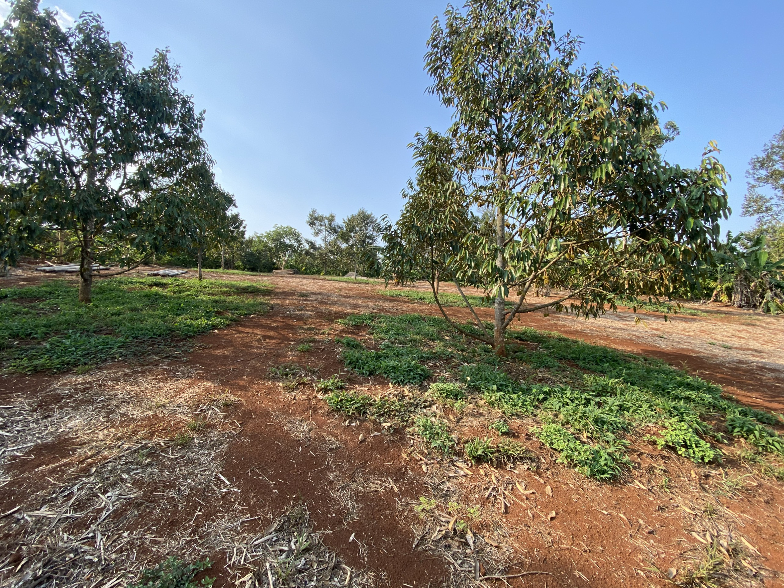 z5479742854795_ca4e1545b593237a97cbc599c69a6ee1