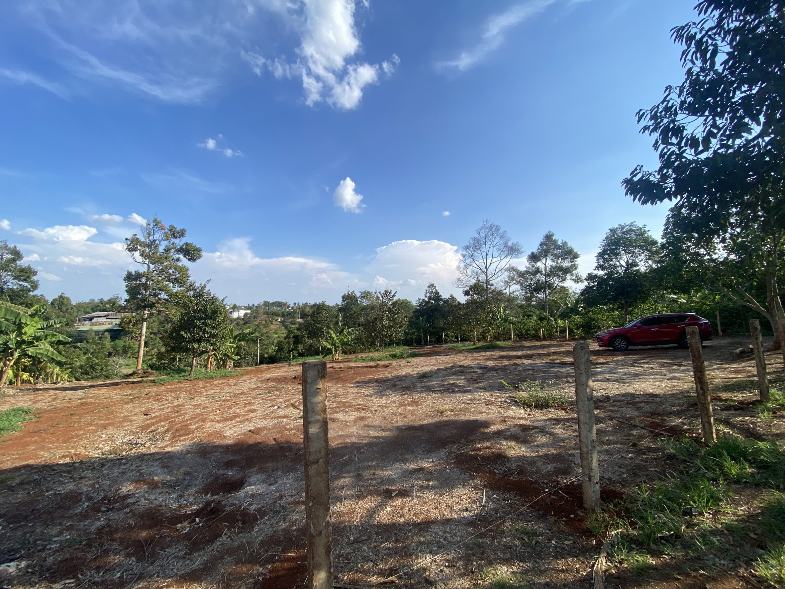 z5479742882196_4040fab3724ade11370793ff709e9717