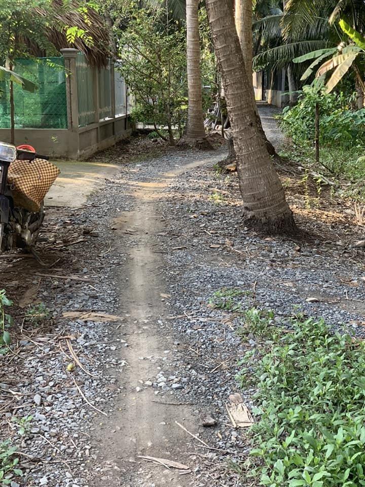 z5480670920855_c1150c6be054074fdc6287f864297db2