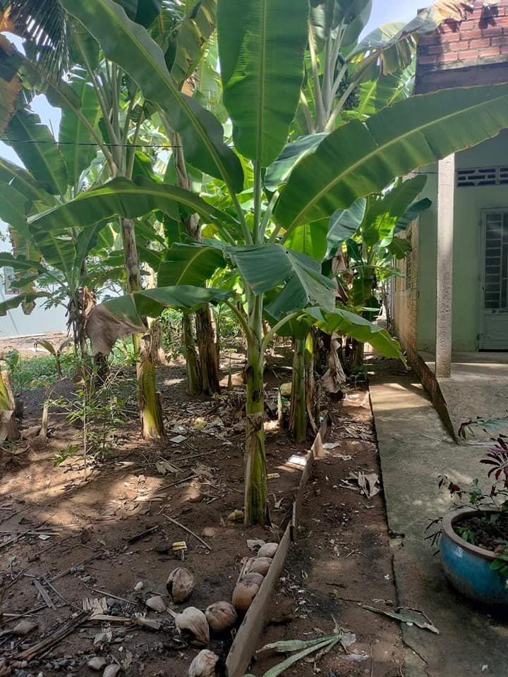 z5480670951221_3c0a7d9a8c9ea8eb1f0395bd17f8f3c6