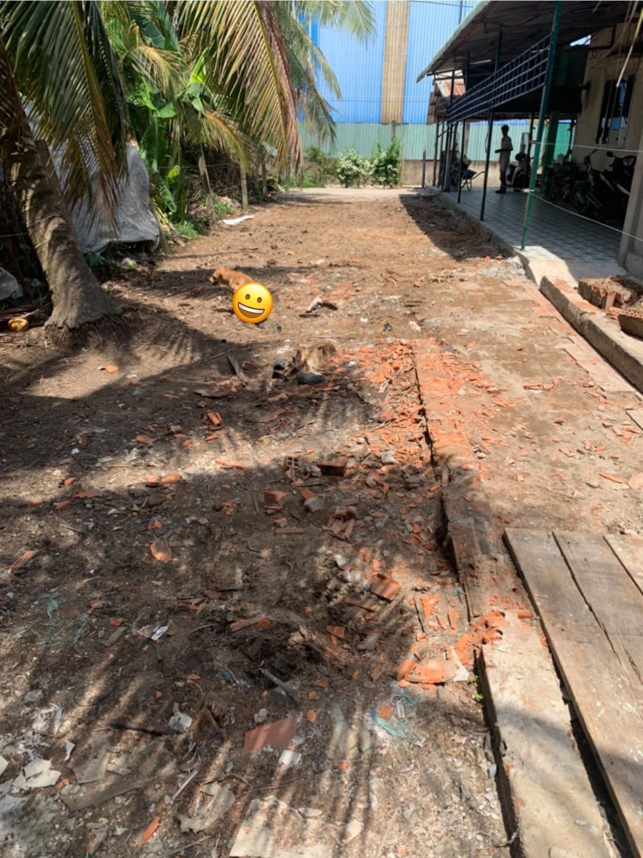 z5480716011910_f983f100cd8f8e9f6824afce00241887