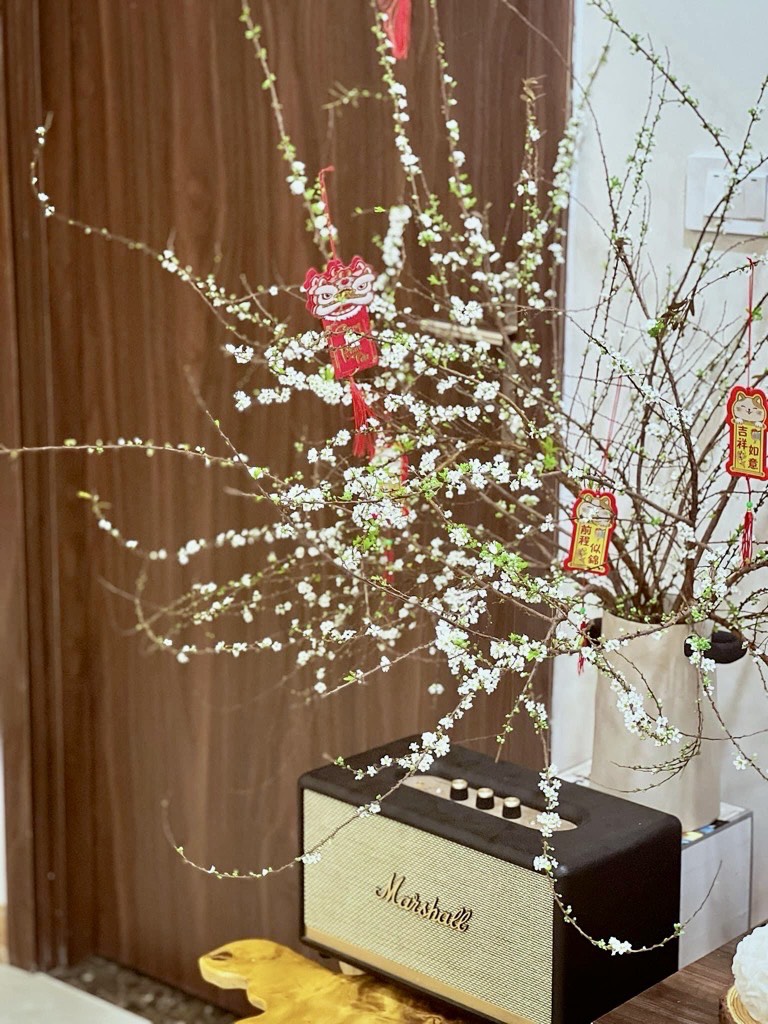 z5480788593024_e34518b5bcd350866ccdaec6a73e6476