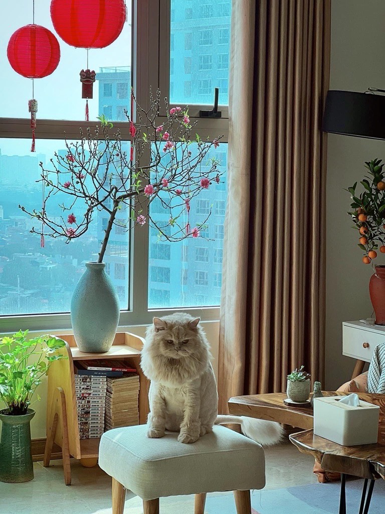 z5480788604063_5c3531584e53b40341f98fcb0105ee4a