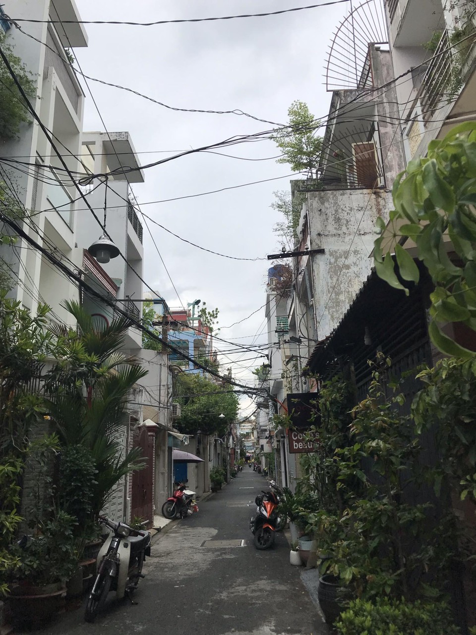 z5486422471328_e67849a6fe48592bed93c2e45213b50c