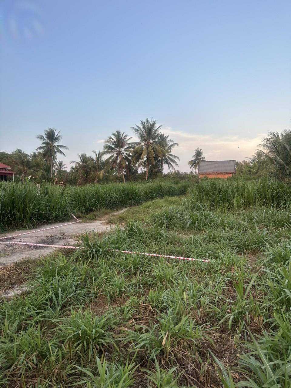 z5493322767287_5f84f51c63a7fd6681d1b0191a7544b6