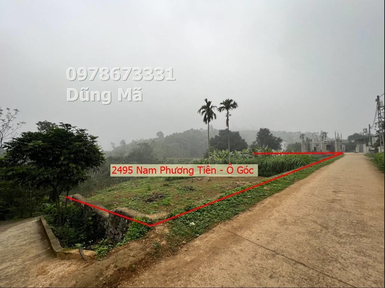 z5494460214024_2cf05e99c38779b3f1b43eec7b797ba9