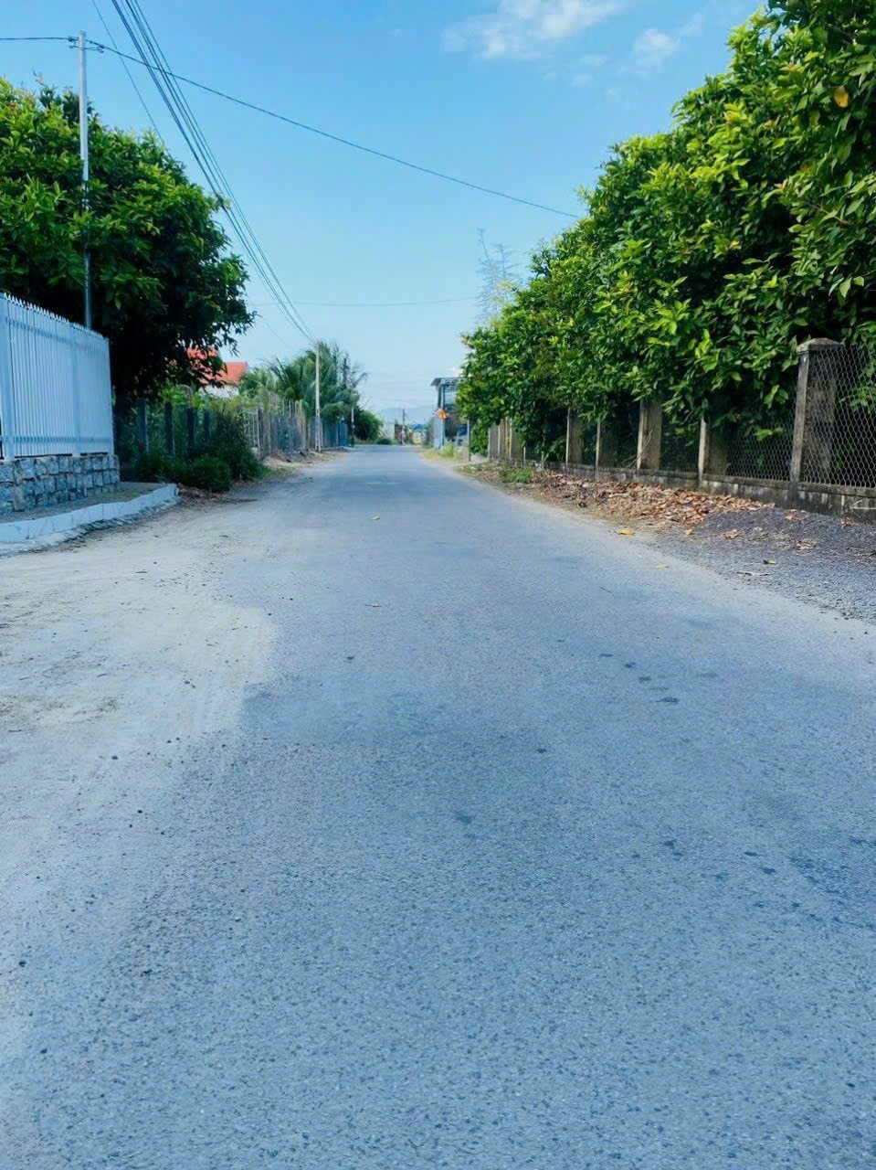 16533696a69205cc5c83