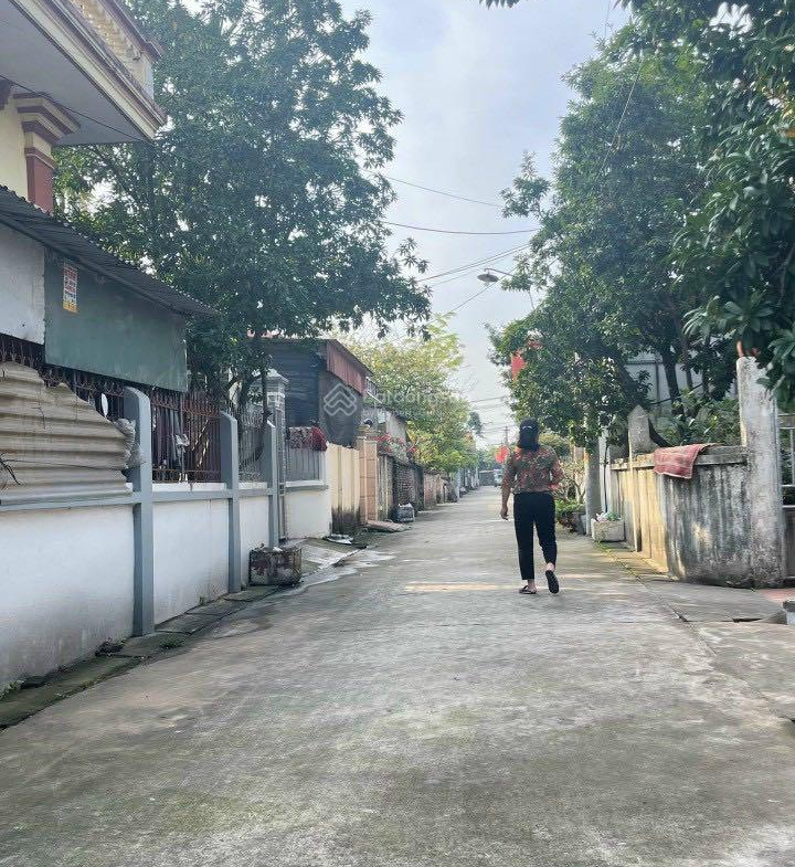 20240419072822-6ed0_wm