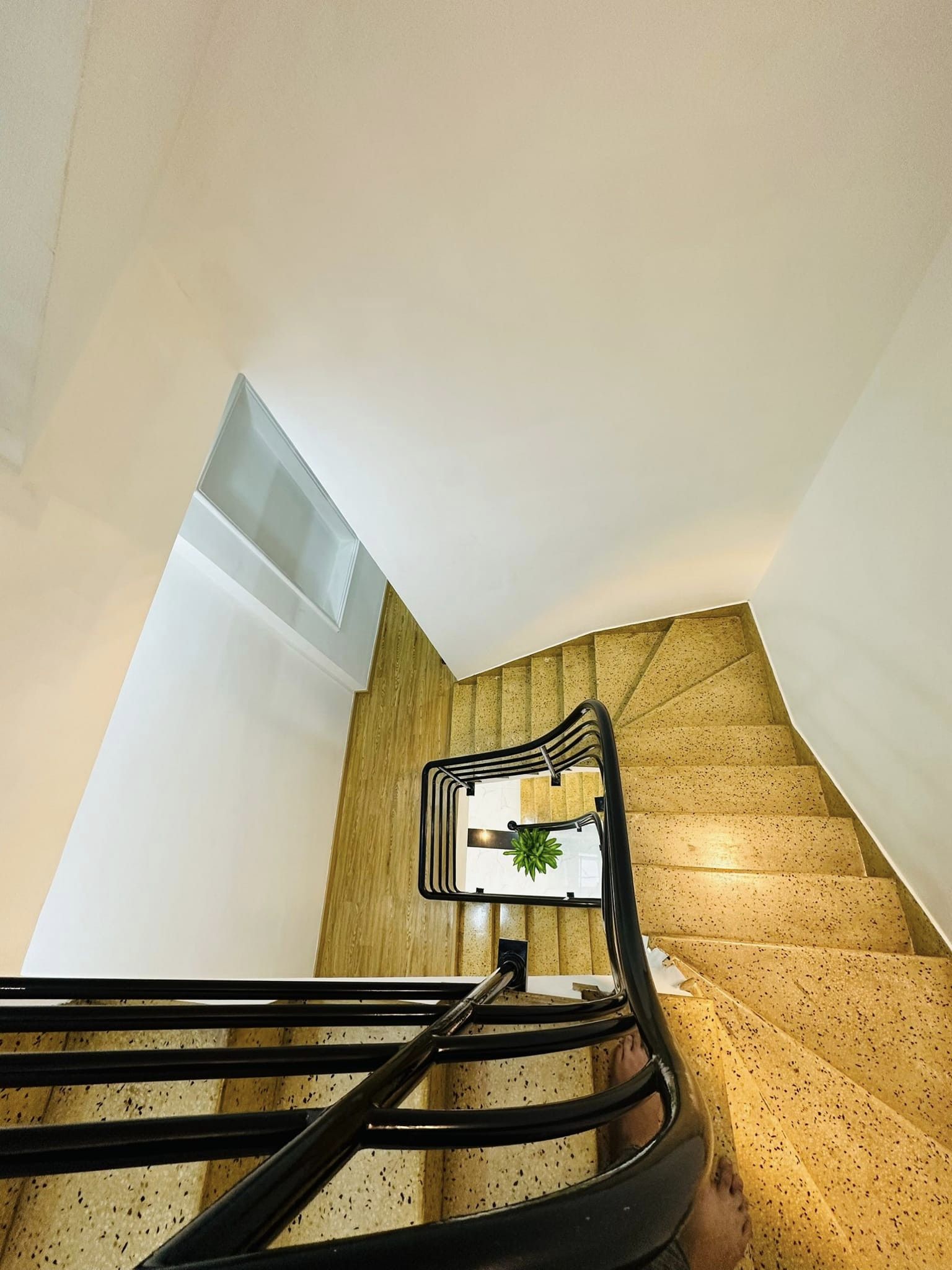 313439823_503890718451433_140397362024317705_n