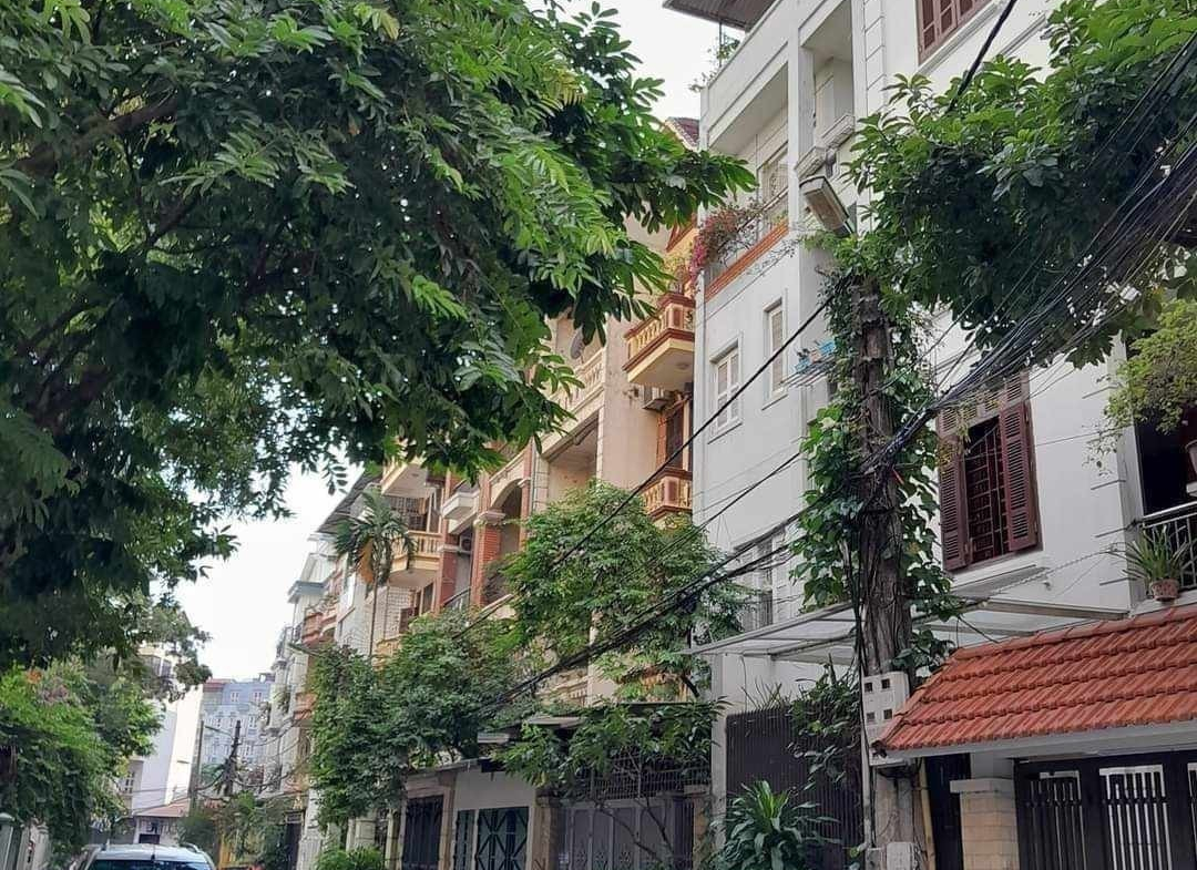 385541678_2427703770751227_5586382051213879913_n (1)