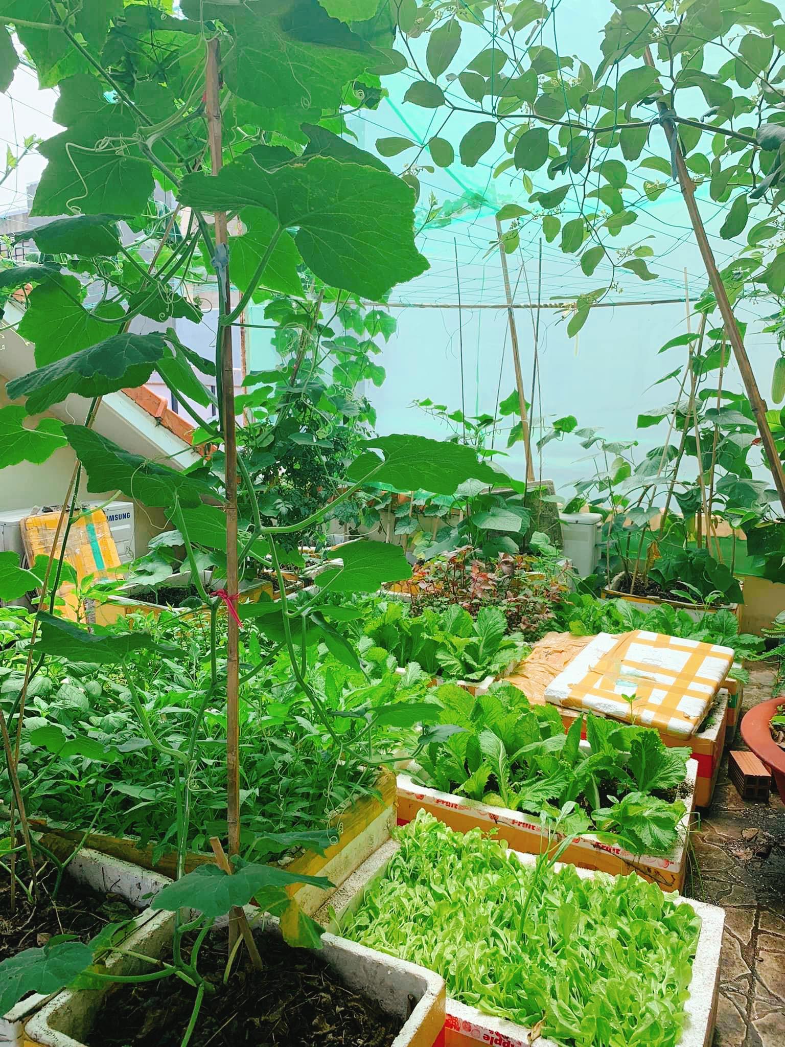 387561861_6898619963550821_552270164076311286_n