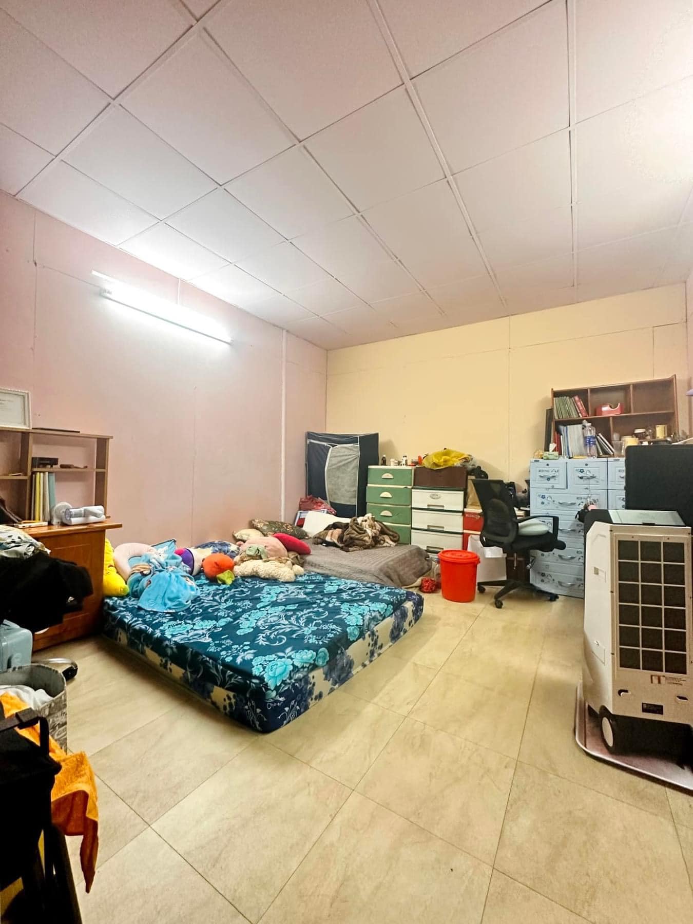 429554783_2752021414938345_3473527993417605947_n