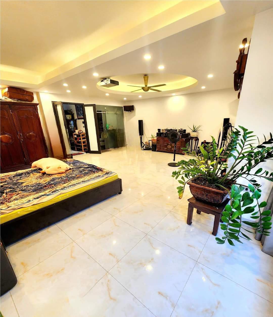 440926849_1154709982382813_8168080385426462736_n