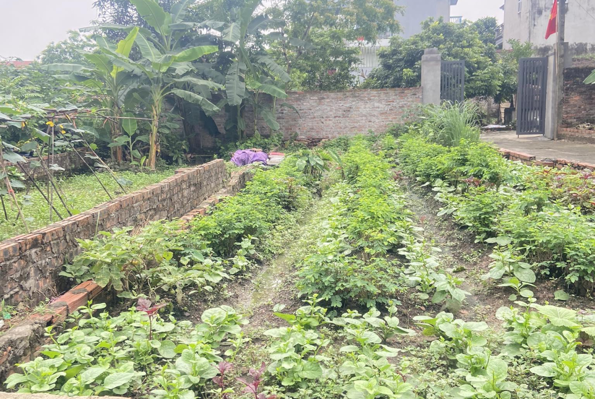 441958576_397626059944787_294654206319131140_n