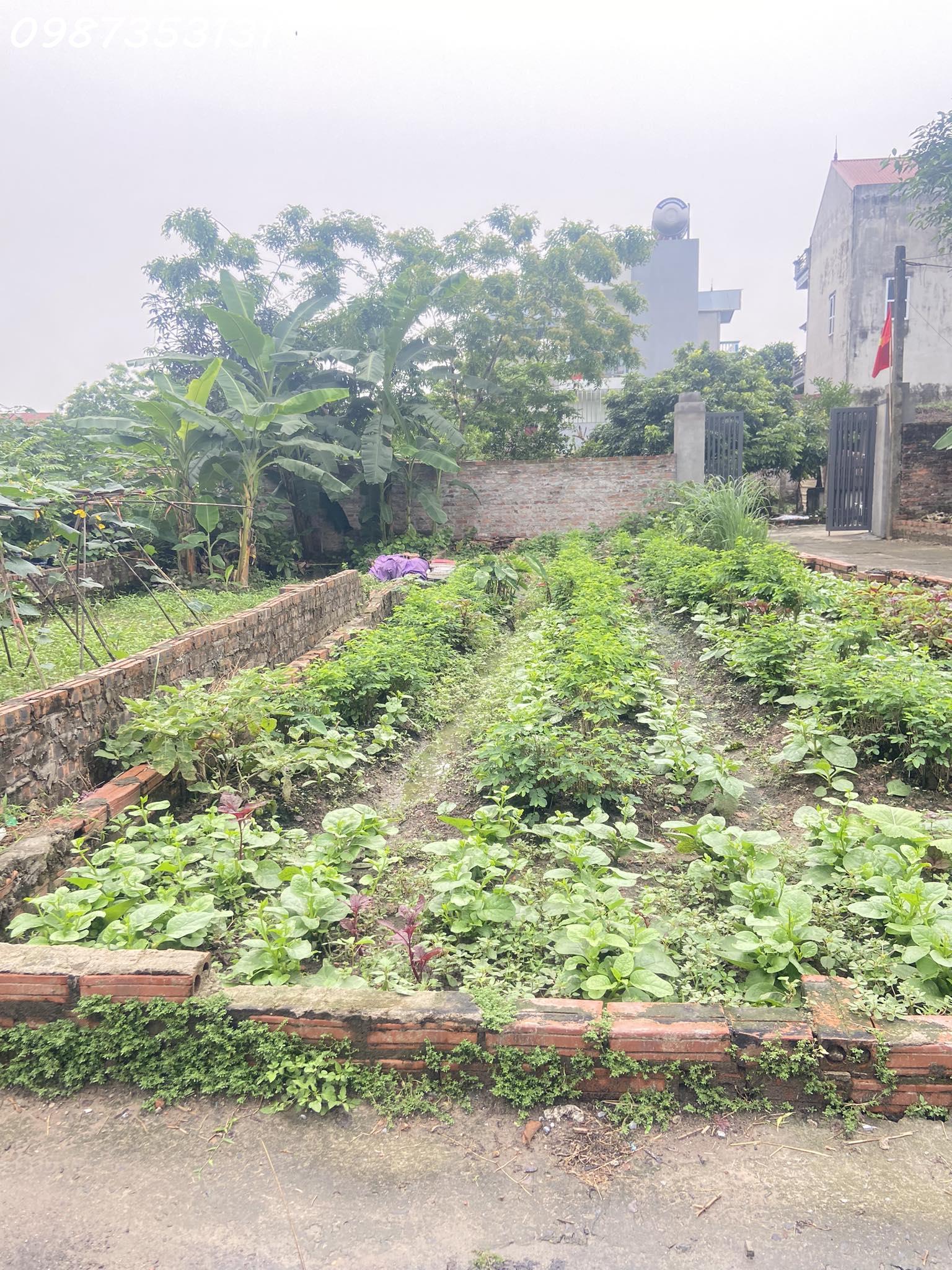 441958576_397626059944787_294654206319131140_n