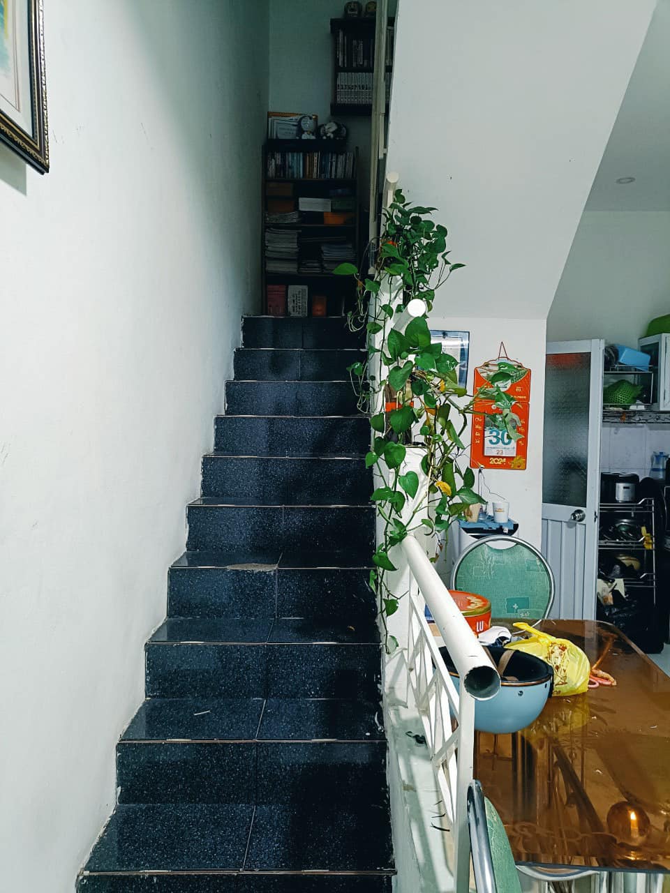 442440746_2149891205376322_3863336046844778524_n