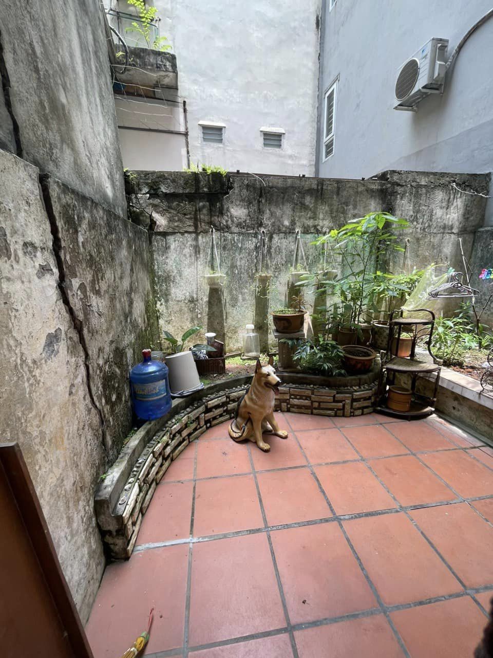 445181054_2063769184005651_1981726029208059532_n