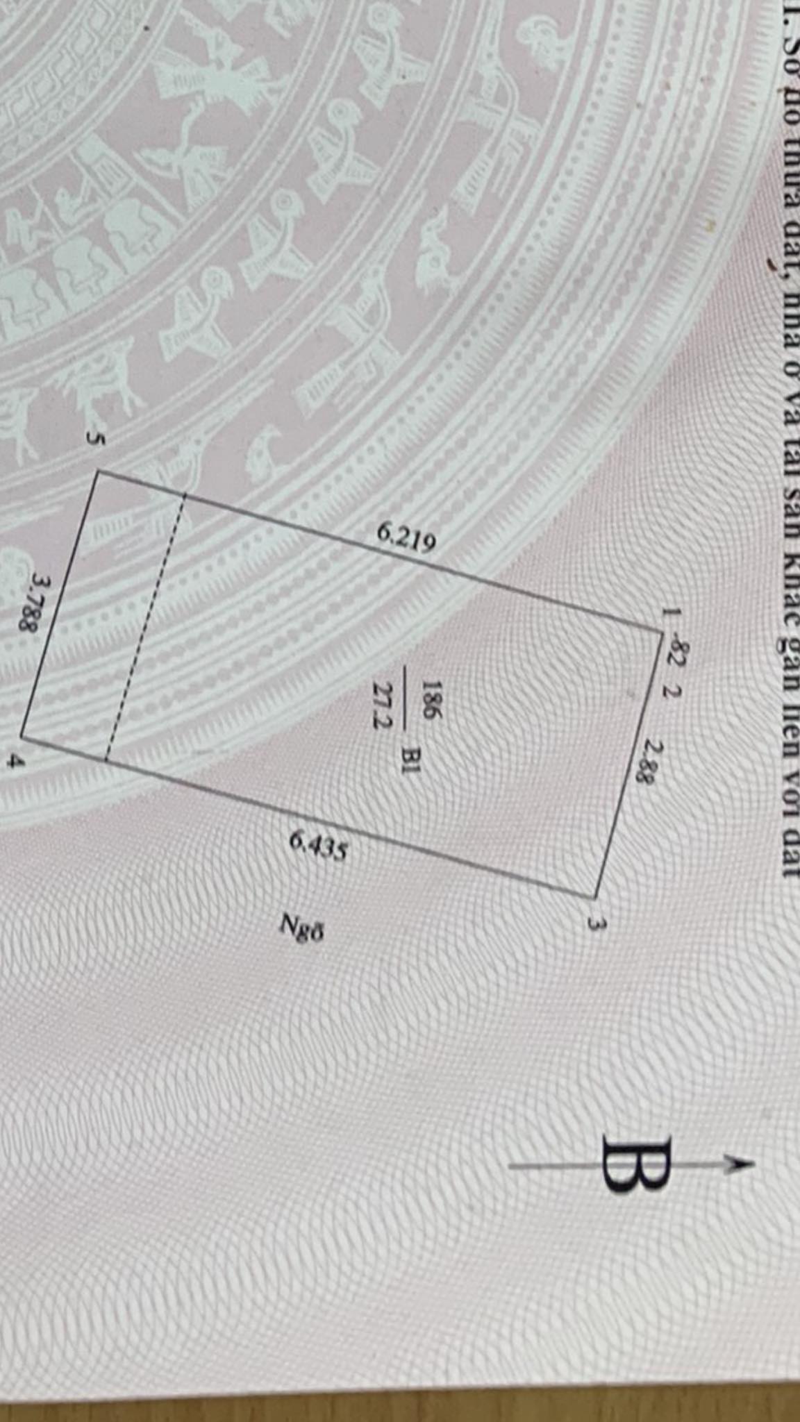 445556283_26067375976186925_2201622256778893351_n