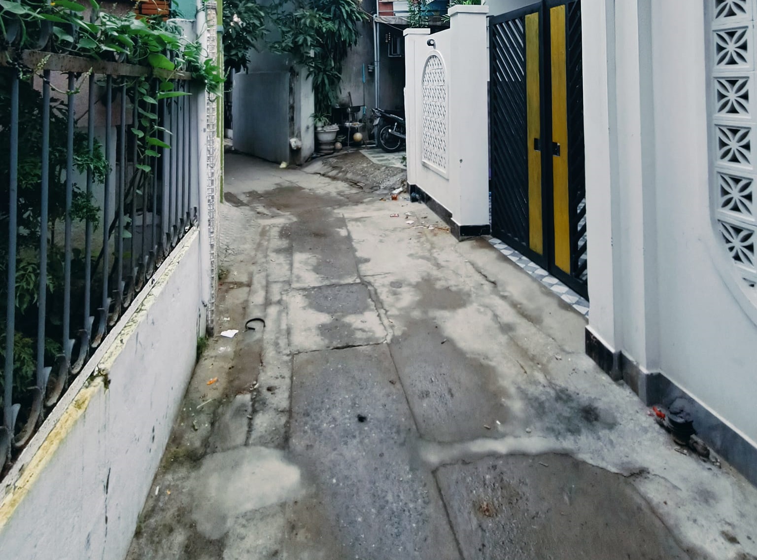 446799562_851231830185690_8596194690130134105_n