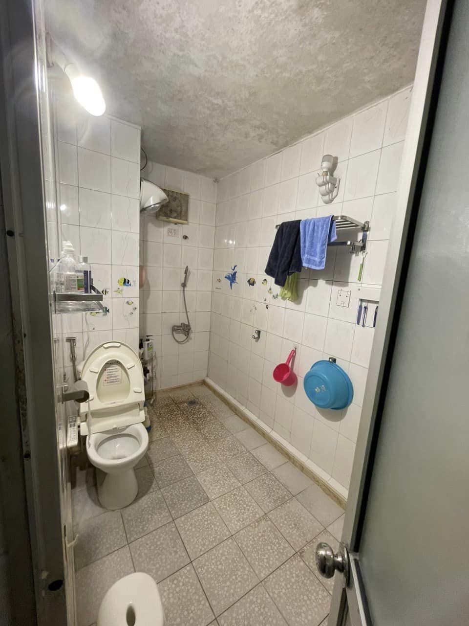 447265055_2063769237338979_2494648075297798636_n