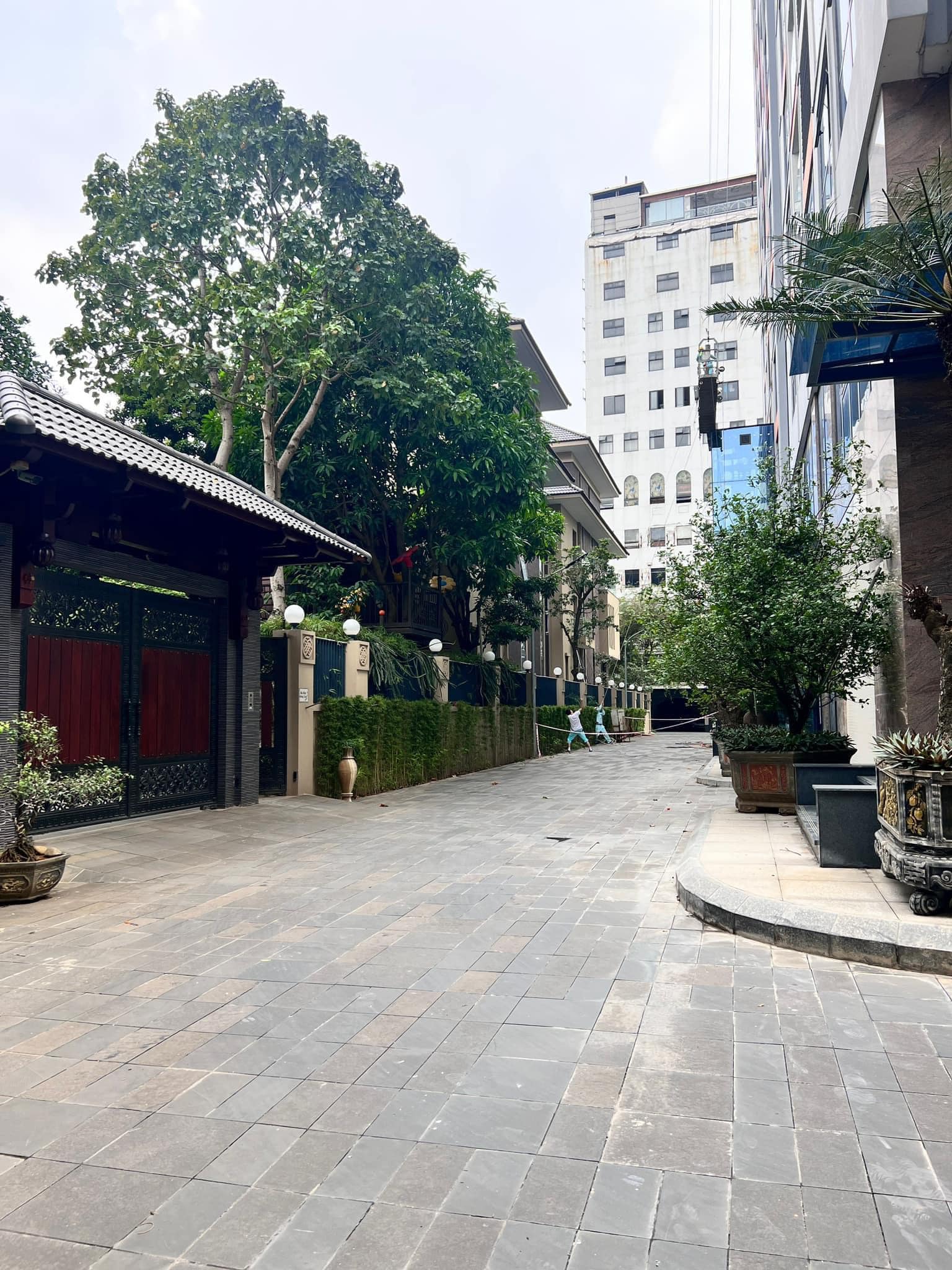 447970228_7414018865374539_9079707616369809560_n