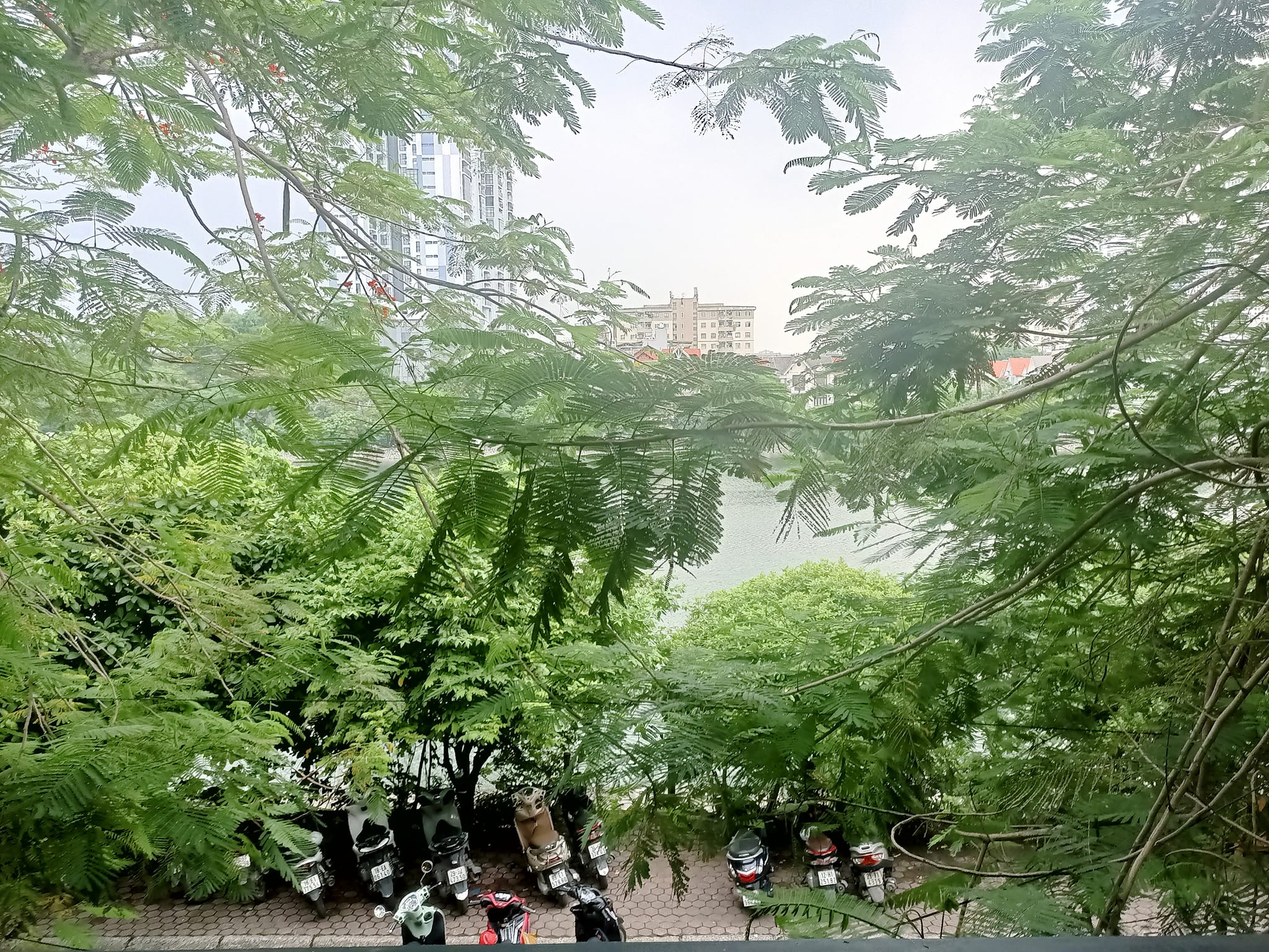 448017752_2733160590185966_1367152846716865989_n