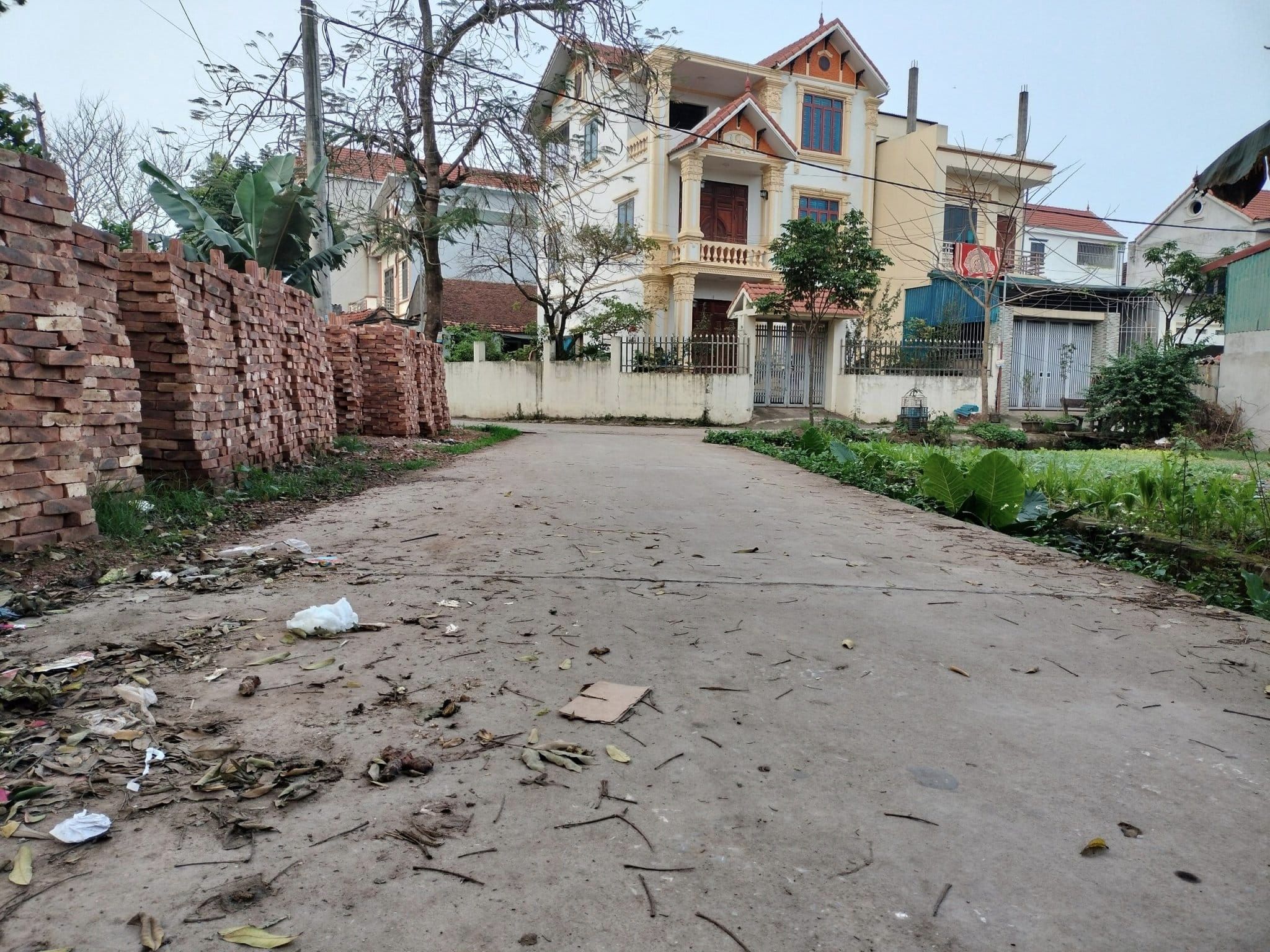 448634376_880222637456745_3252590012633914514_n