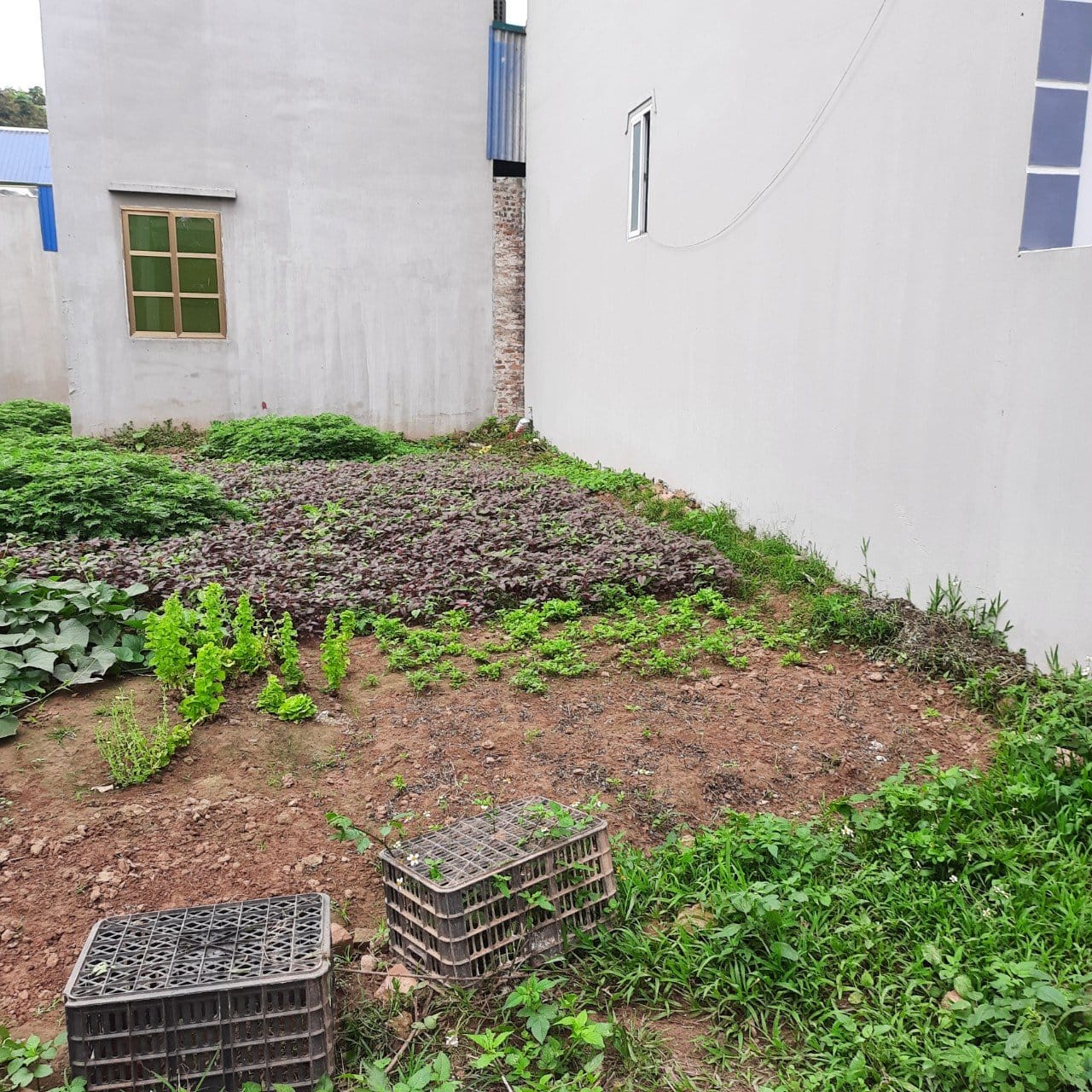 448680630_880222560790086_4927720998157256386_n