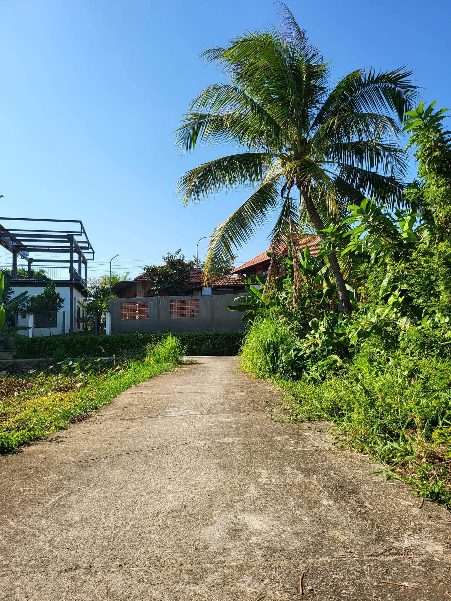 448902543_1201090524415052_772359572237477976M78