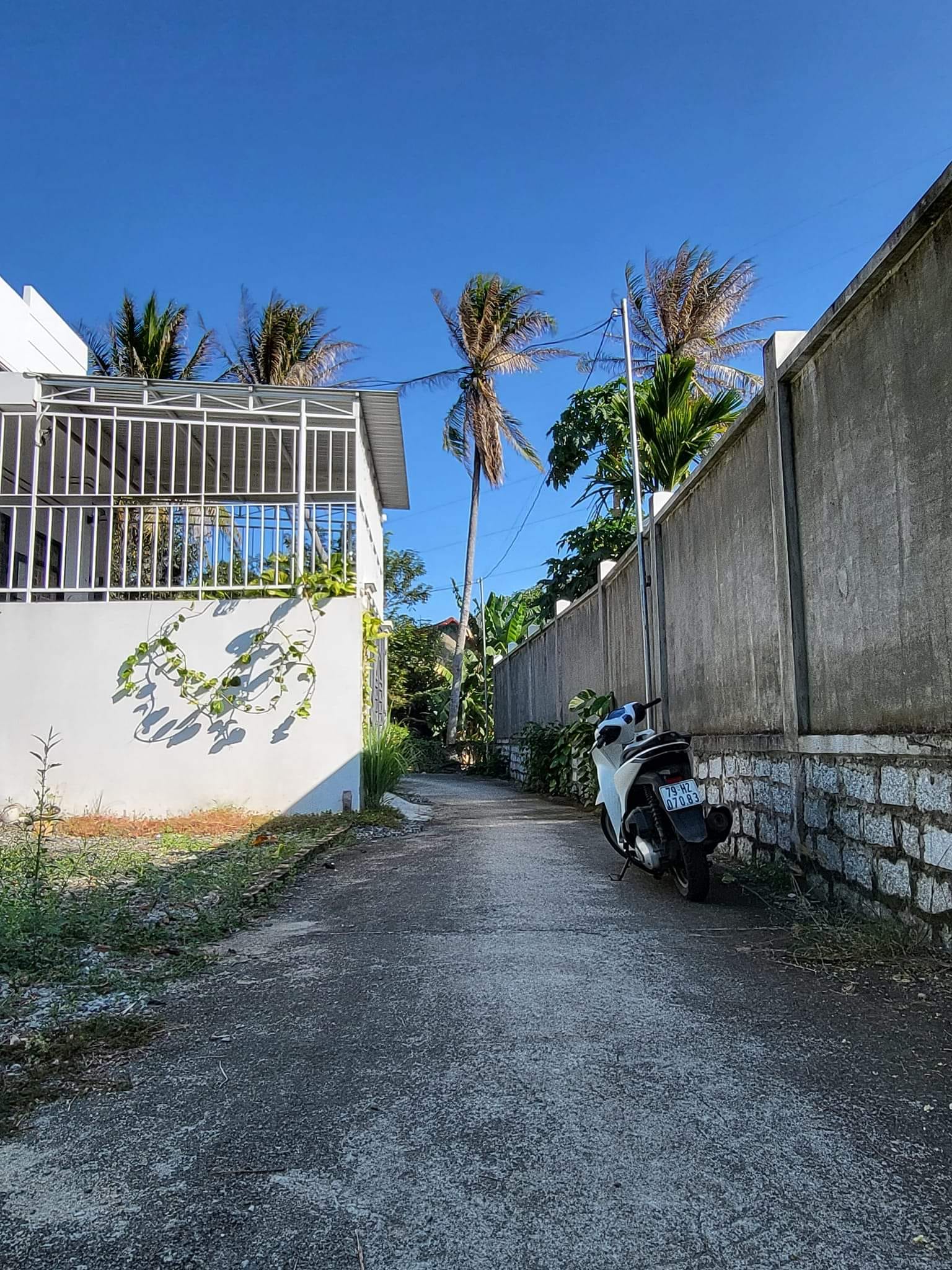 448942302_1201090557748382_6767020129276281492M79