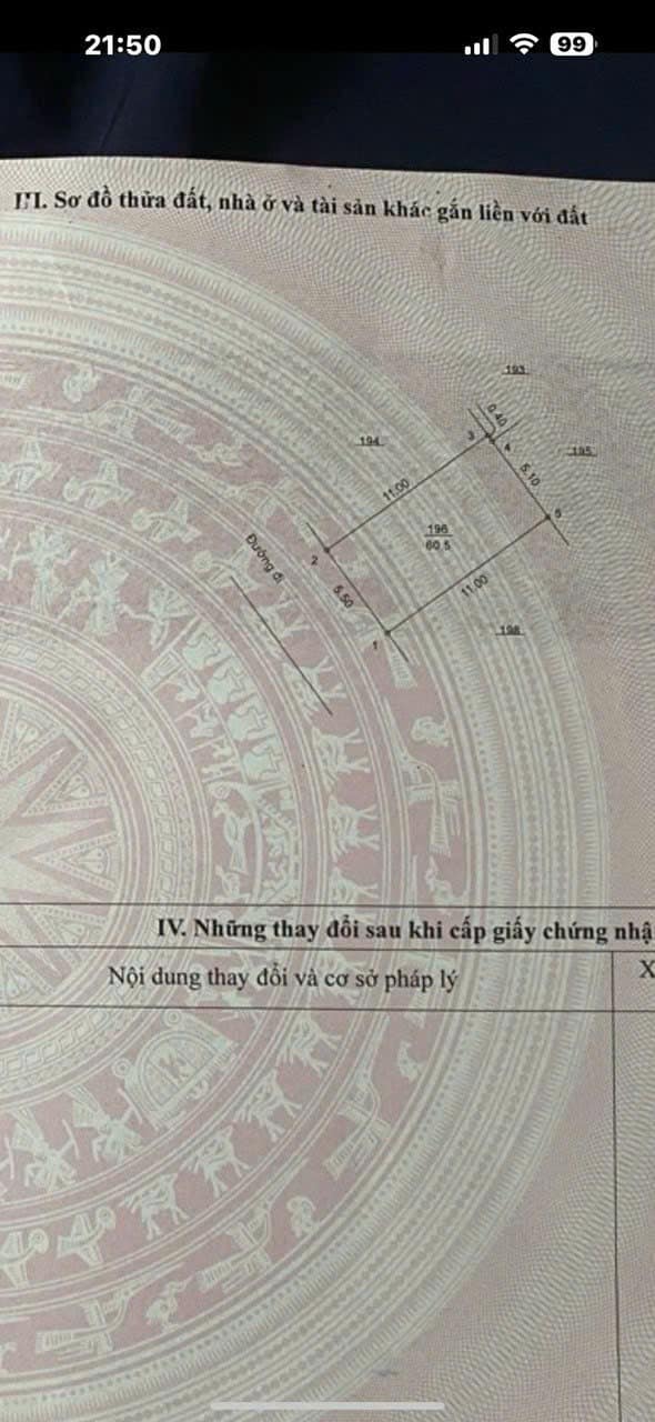 449042276_882728553872820_181093801229270966_n