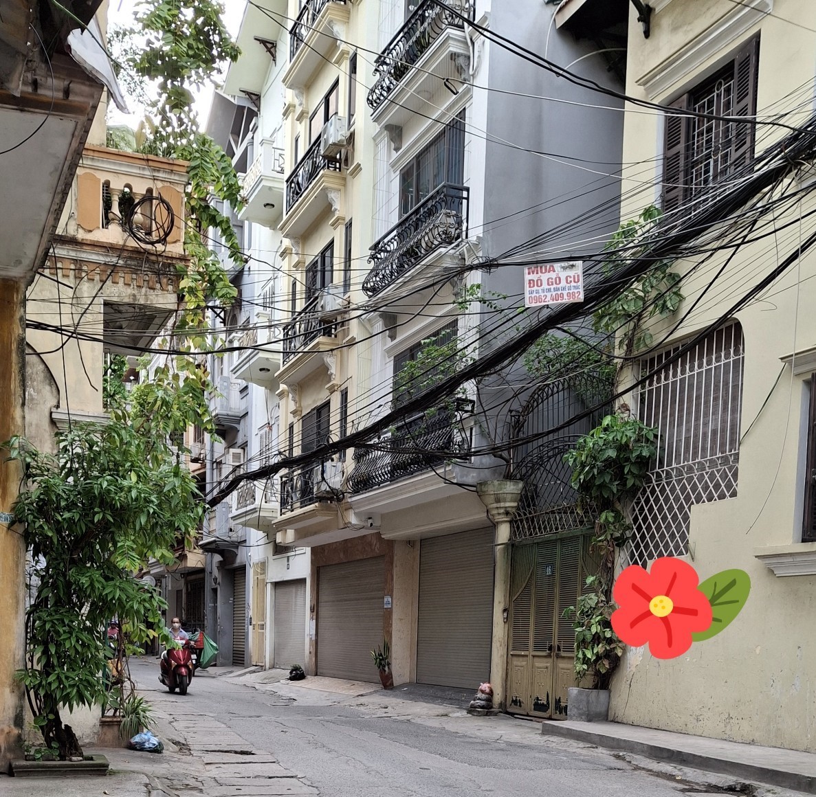 449338395_520671473861480_680001067381998064_n