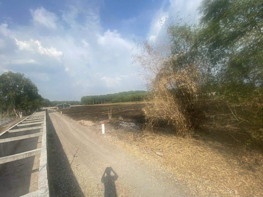 Nguyen thi ranh  9012m2 1