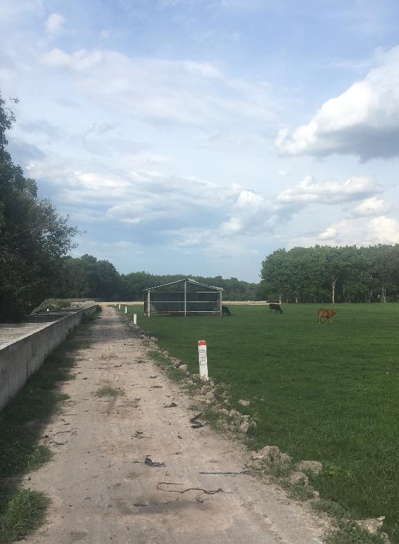 Nguyen thi ranh  9012m2 2