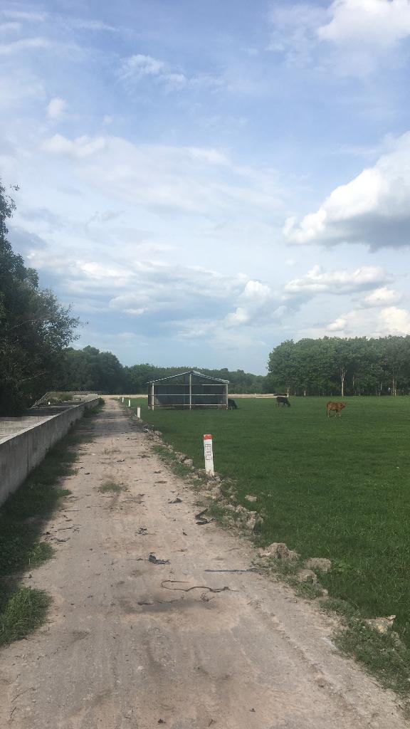 Nguyen thi ranh  9012m2 2