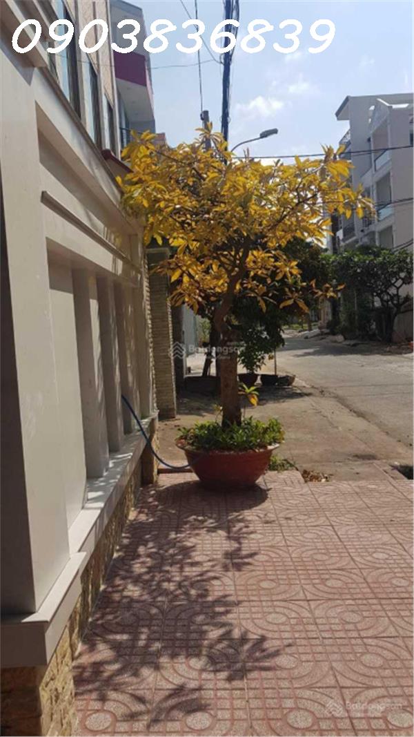 d5cdd88fb05fa547094df2df0d95caf5