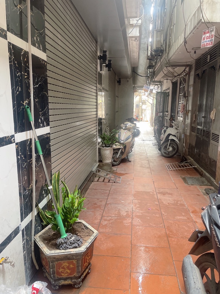 dfy-5596F186-lxt17sts_11_lxt17szy