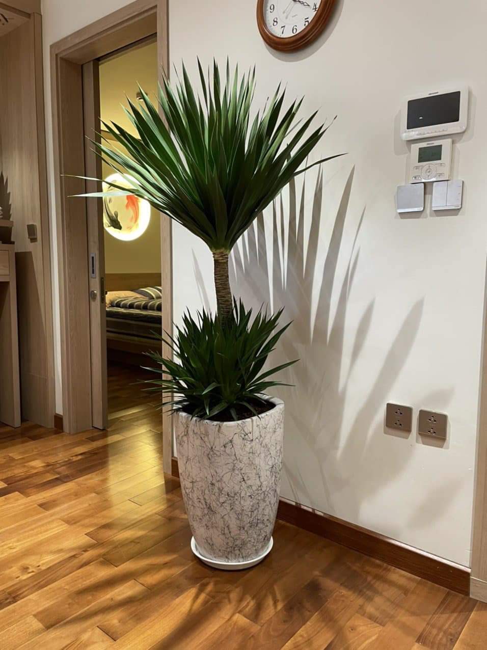 ffbfd59c1b5fd801814e103