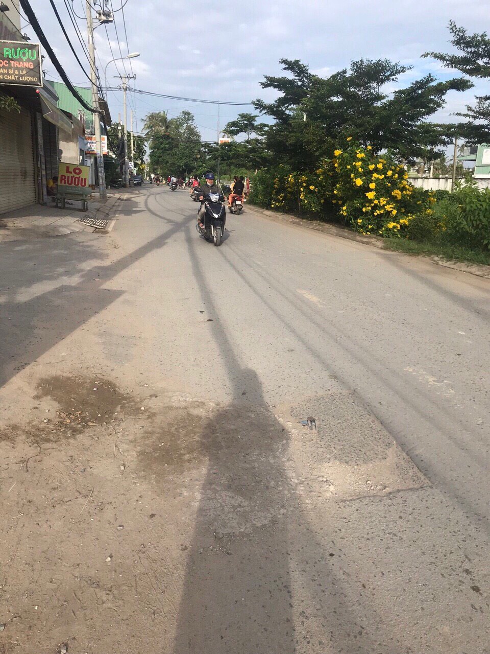 z2541360818124_b585ddd520f21ad58738ee8eedb2374a