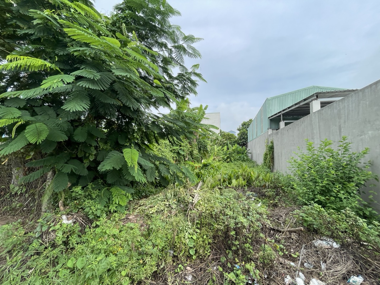 z4418050683723_f45795cbb1efd1c9639811274a299e25