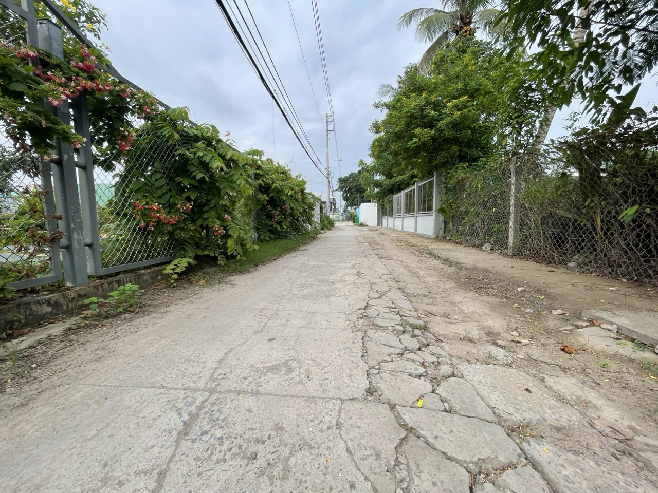 z4418050706559_7a1592d7fbf0d48abd65cbca12d60a00