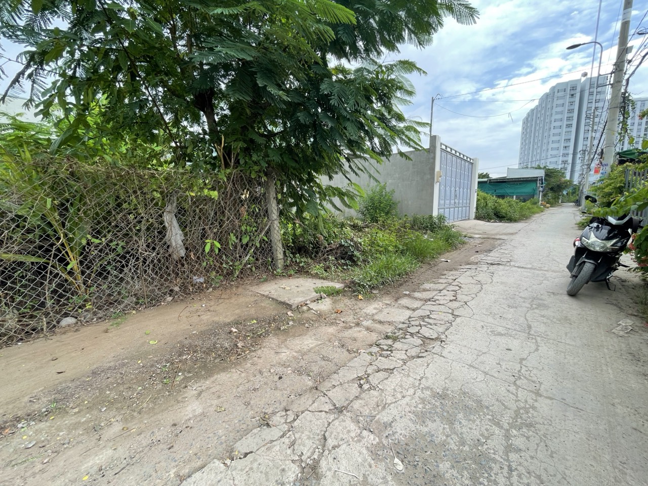 z4418050720094_4e6813f2935fad09019808f3fc8211d5