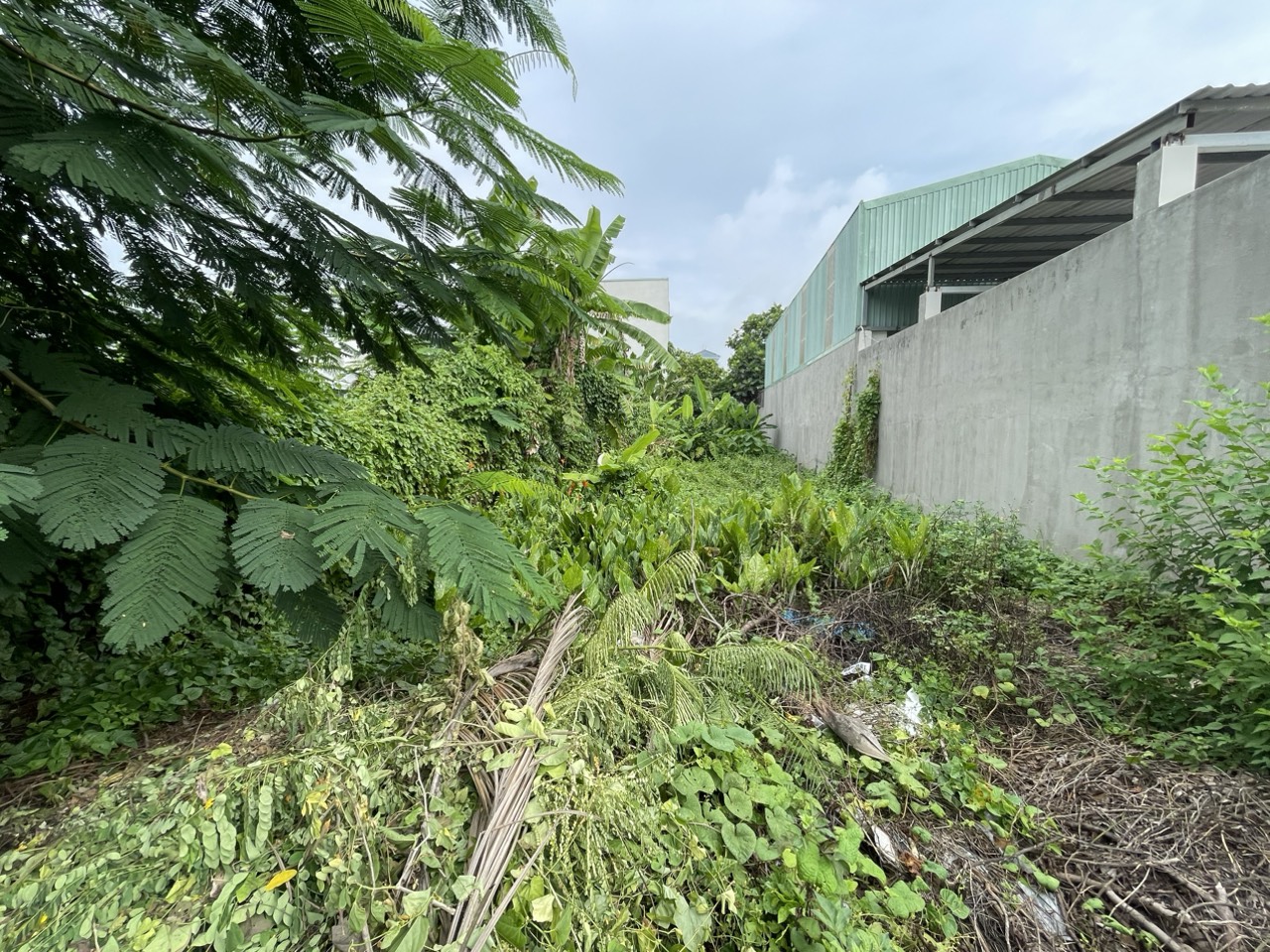 z4418050720208_e952cabee0a59234096309c0421b63c8