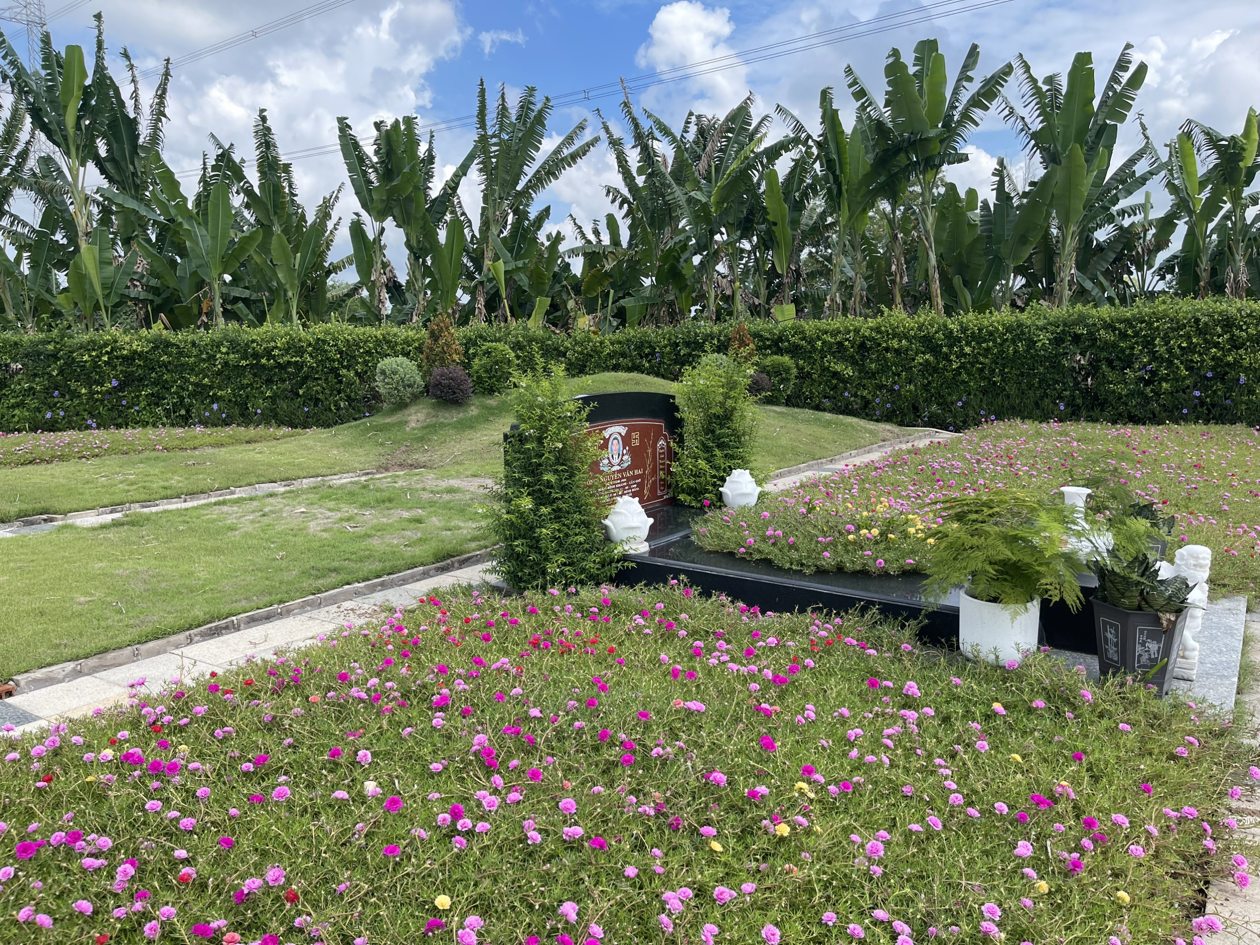 z4445119555314_7be4ac788c600f6869f5a24138a63095