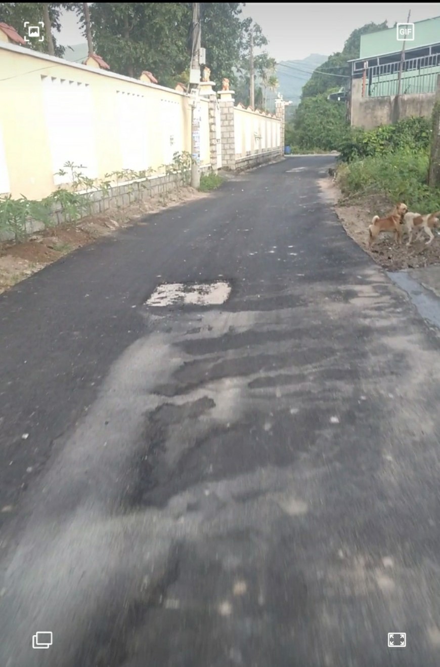 z4632835438718_4b7f50ed0c47e0230c69a3b821dc21eb