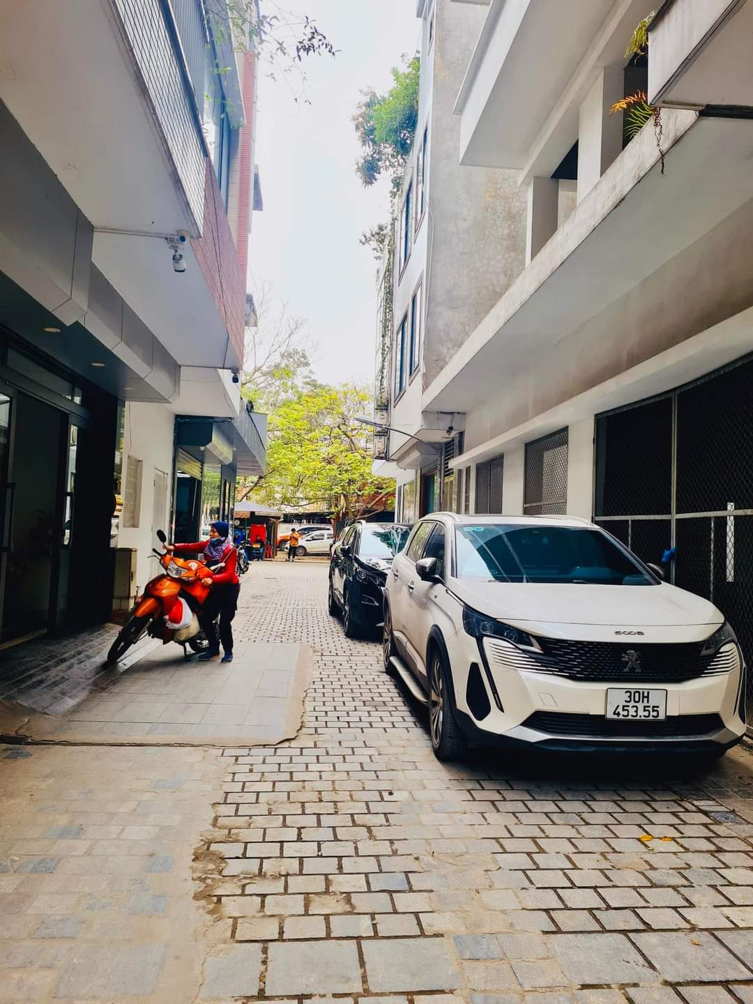 z5207962265701_37c2eb551b28648aeba482a33f92f436